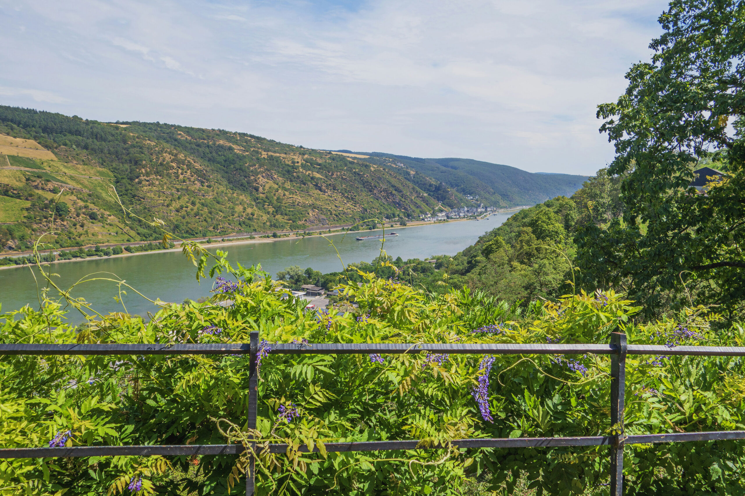 Über Oberwesel, Blick auf den Rhein