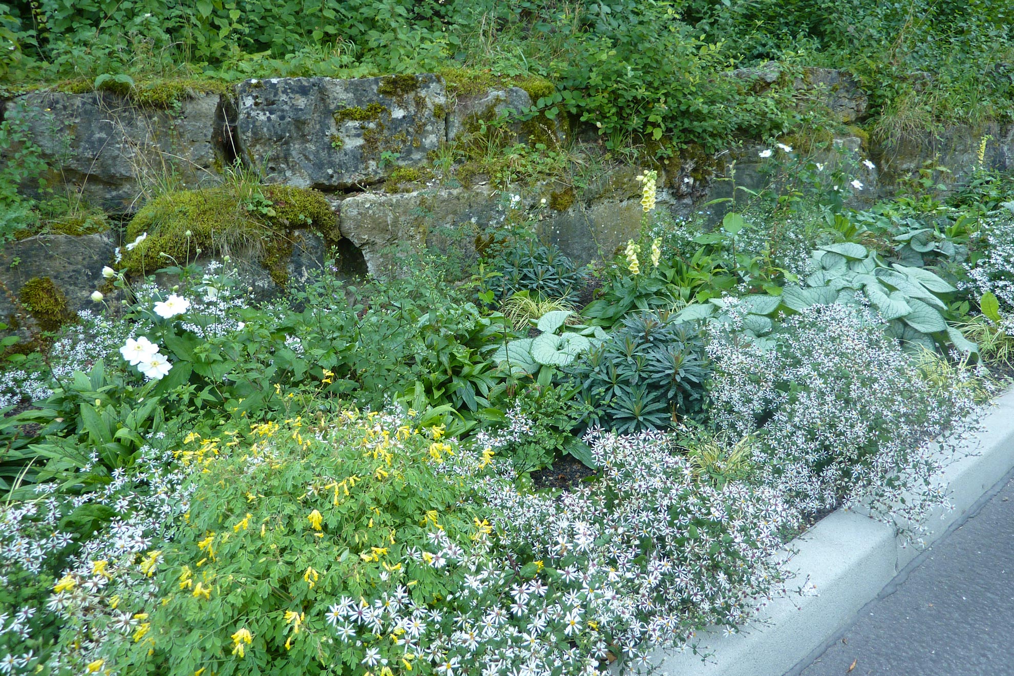 blühende Stauden