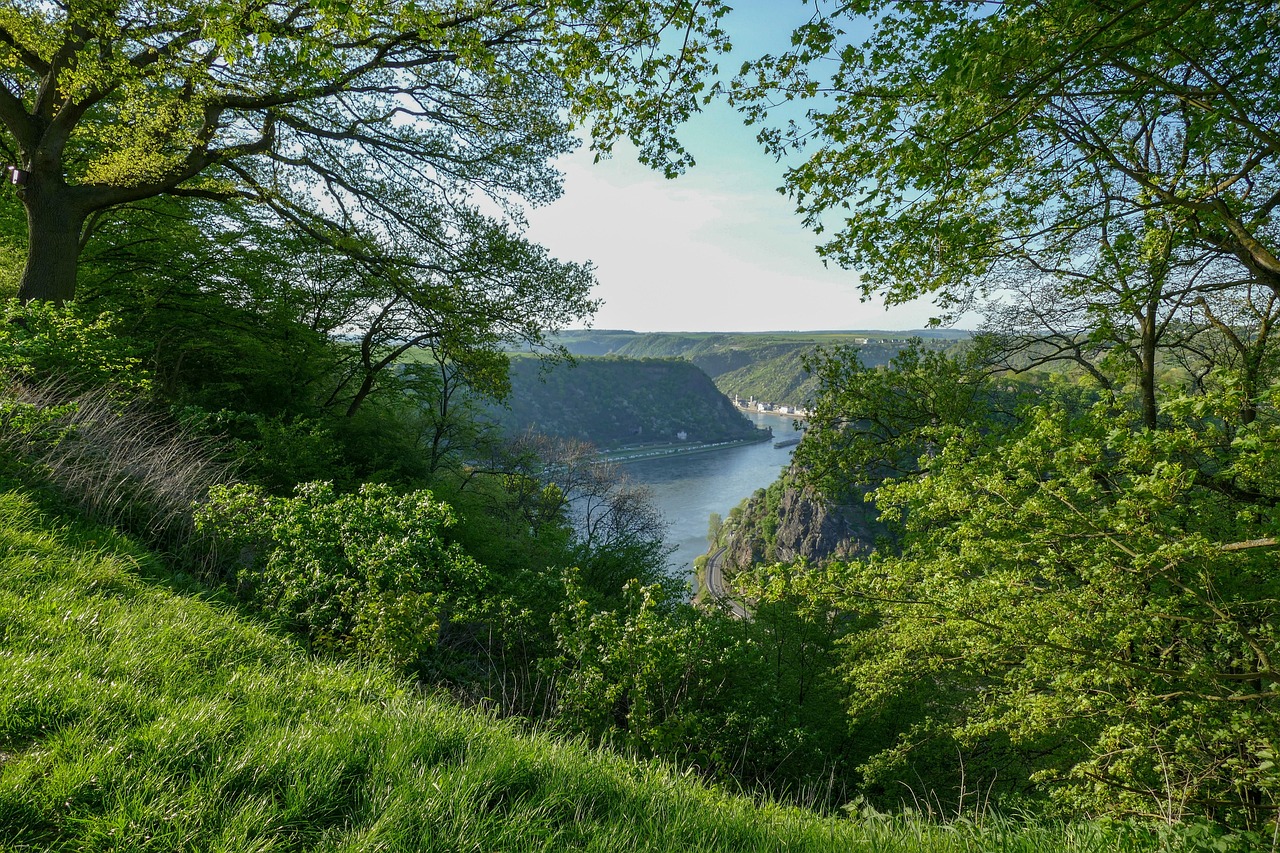 Die Aussicht von der Loreley auf den Rhein